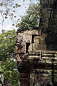 Ta Prohm temple - bas reliefs